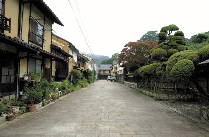 写真：おはなはん通り