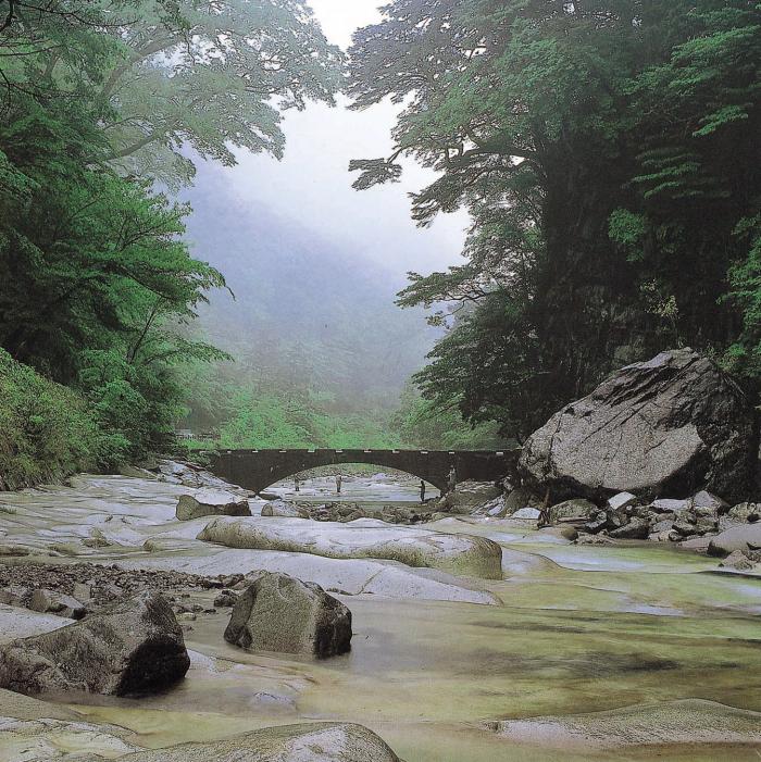 写真：面河渓