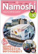 Namoshi No.30